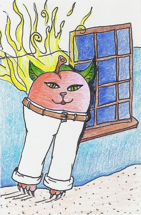 foggy peach cat