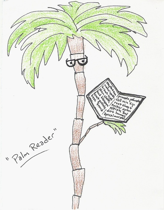 Palm Reader [picture of a palm tree wearing glasses and reading a botany book]