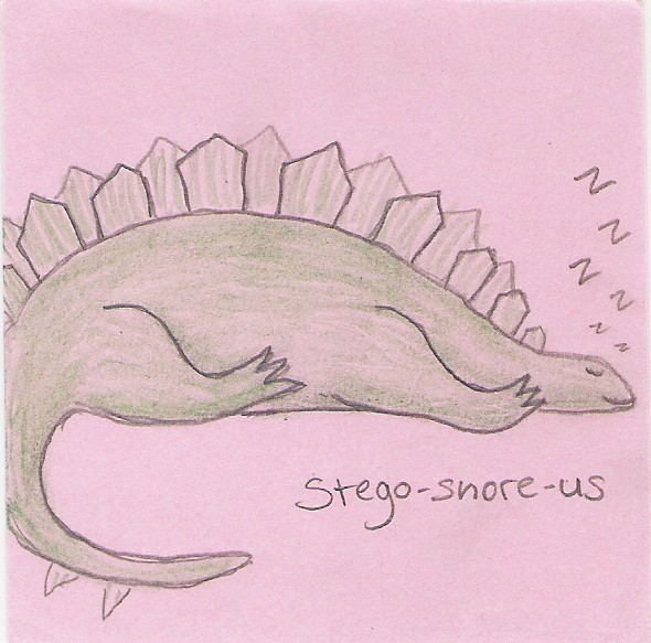 Stego-snore-us