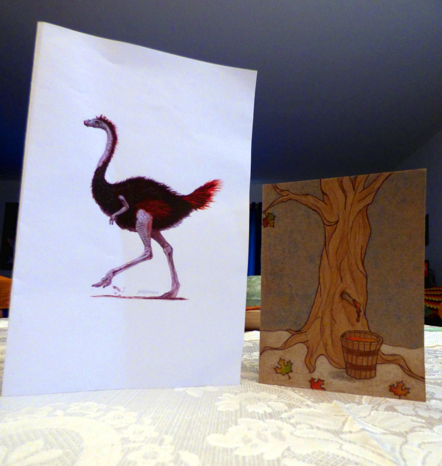 photo of the front sides of both greeting cards