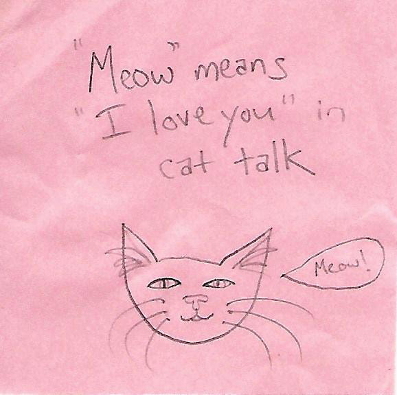 pencil doodle of a cat face saying 