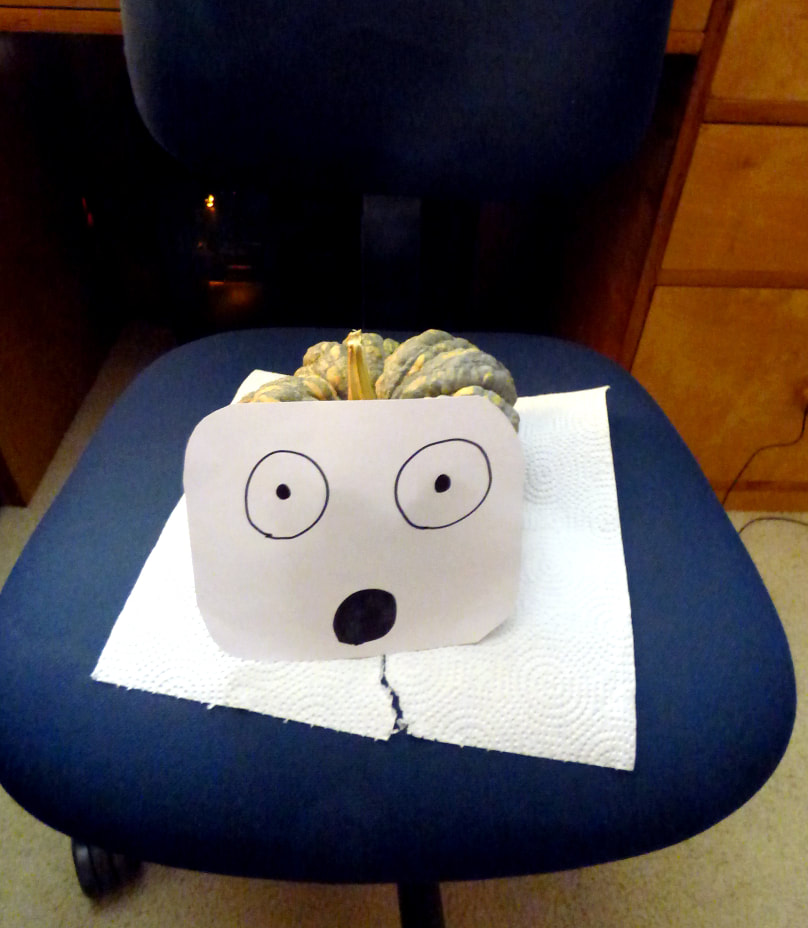 a very shocked face drawn in sharpie on a rounded rectangle of white paper, taped to an heirloom green pumpkin/winter squash, resting on a paper towel, sitting on my computer chair